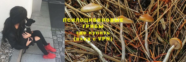мяу мяу мука Армянск