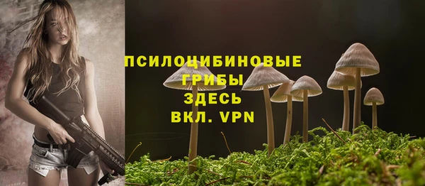 тгк Арсеньев