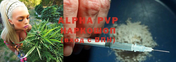 тгк Арсеньев