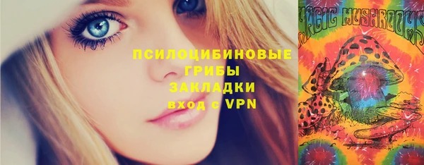 тгк Арсеньев