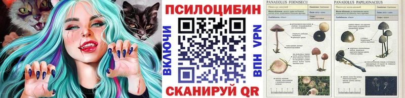 цены   Сурск  Псилоцибиновые грибы MAGIC MUSHROOMS 